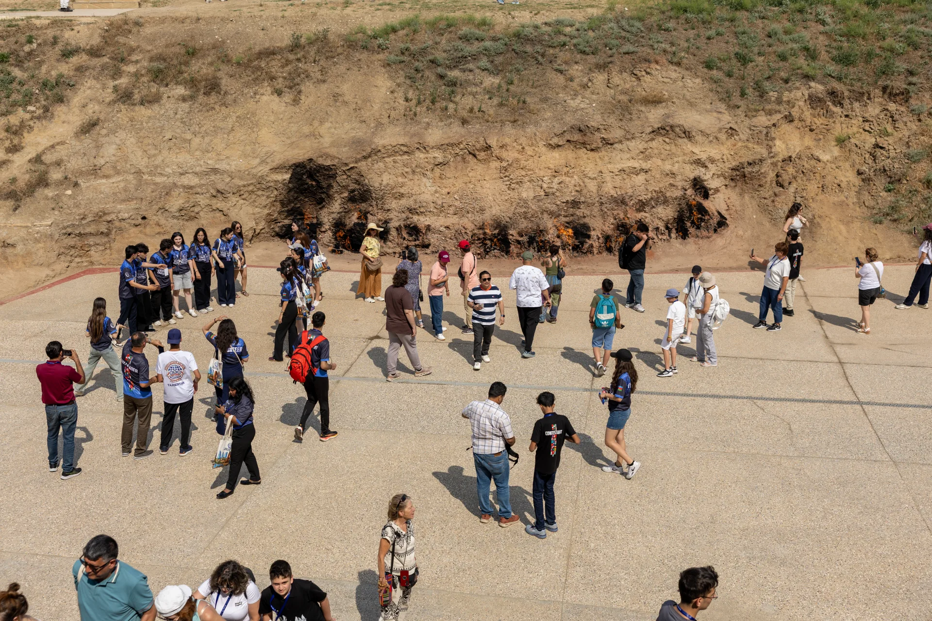 Tree Planting Event